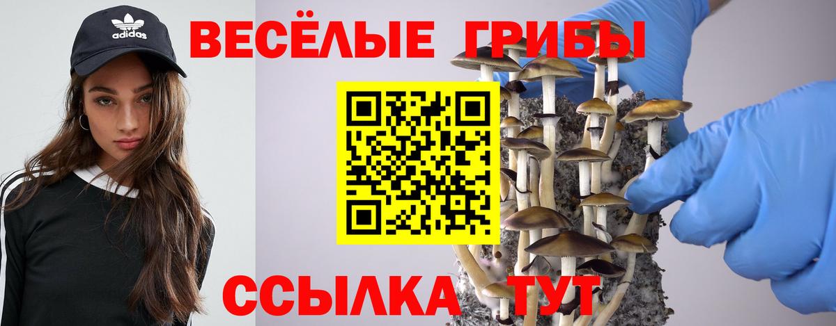 Галлюциногенные грибы Psilocybine cubensis  Вход с VPN  Тула 