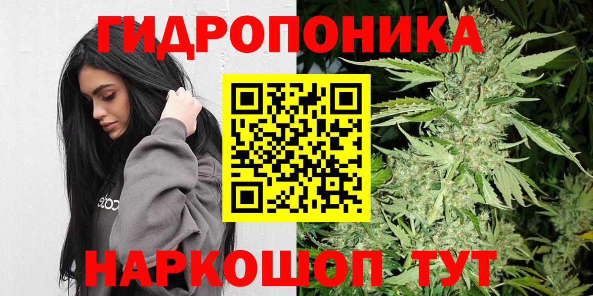 Конопля конопля Тула